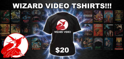 Click Me to Get Your Wizard T-Shirt!